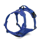 Harnais Truelove Country en Y pour chien avec rembourrage, reflet, ajustable