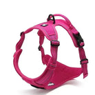 Harnais Truelove Country en Y pour chien rembourré et ajustable en rose