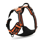Harnais Truelove Country pour chien en Y rembourré avec reflet et attache double