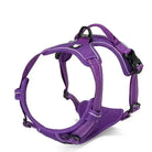 Harnais Truelove Country en Y pour chien rembourré avec trim réfléchissant violet