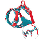 Harnais Truelove Country Plus en Y pour chien avec fleuri rouge et teal