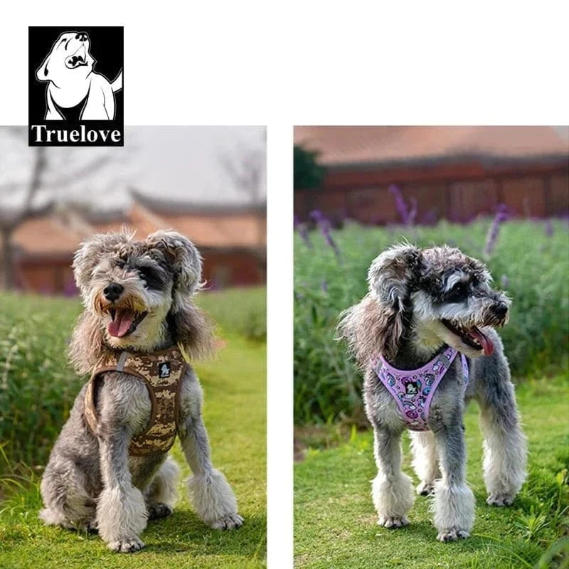 Deux schnauzers avec harnais Truelove Soft Air Mesh pour chien confortable et léger
