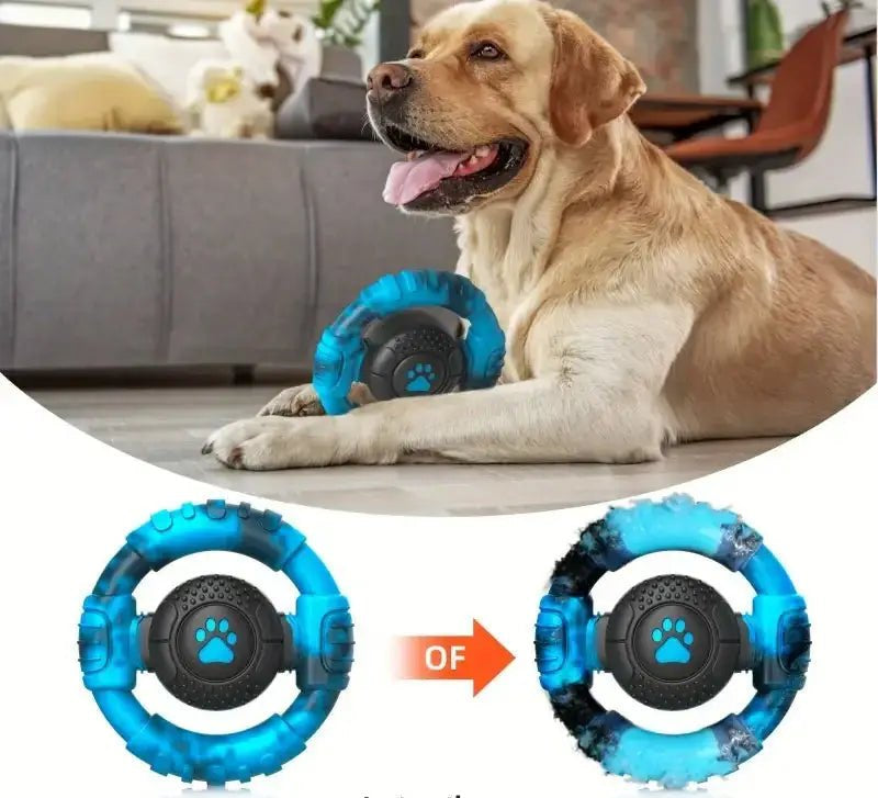 Jouet à mâcher en forme de roue pour chien avec motif de patte, résistant et texturé