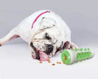 Distributeur de friandises blanc et vert, jouet pour chien qui nettoie les dents robuste