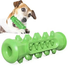 Jouet à mâcher pour chien robuste vert, nettoie les dents, idéale comme distributeur de friandises