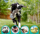 Image d’un chien portant un jouet âne interactif extensible avec corde résistante