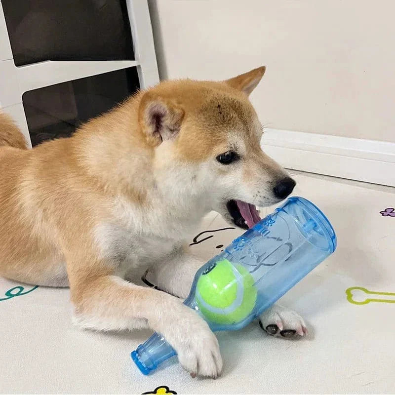 Tan Shiba Inu avec jouet bouteille et balle en matériau TPR, tennis intégrée