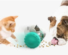Photo du jouet distributeur de friandises roulant pour chien, accessoire stimulant pour libérer des croquettes