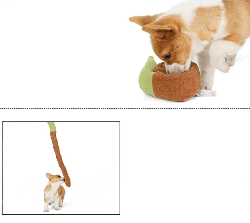 Deux corgis avec jouet renifleur escargot et peluches, parfait pour votre chien