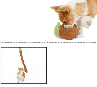 Deux corgis avec jouet renifleur escargot et peluches, parfait pour votre chien