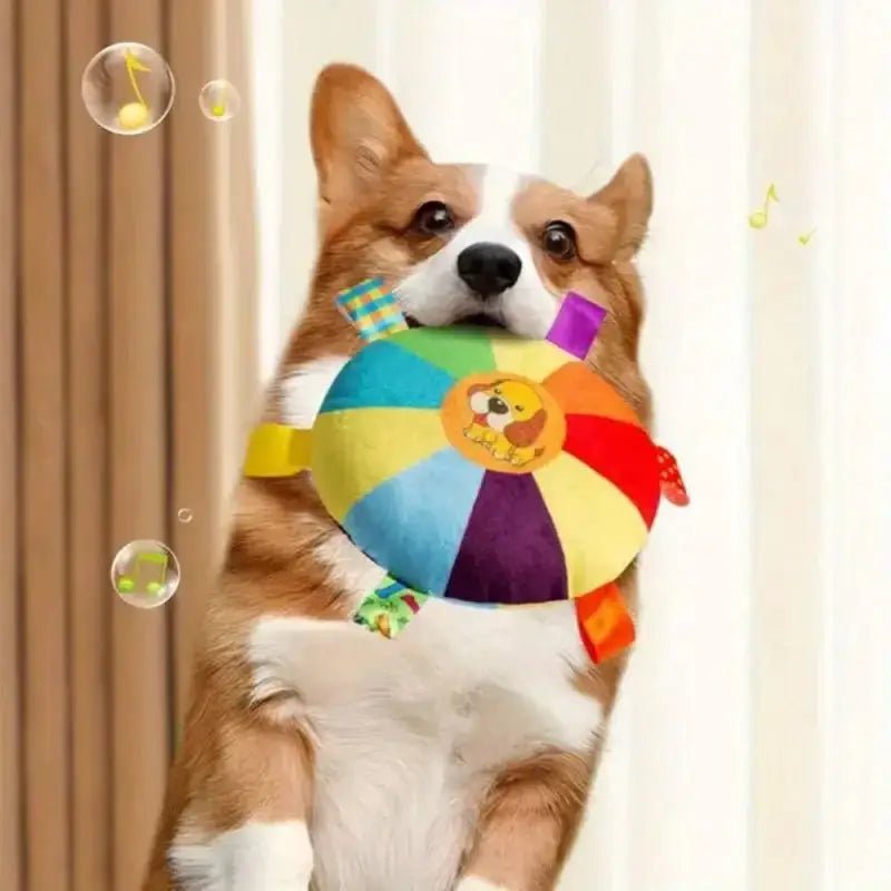 Corgi tenant un jouet en tissu pour chien interactif et coloré anti-stress