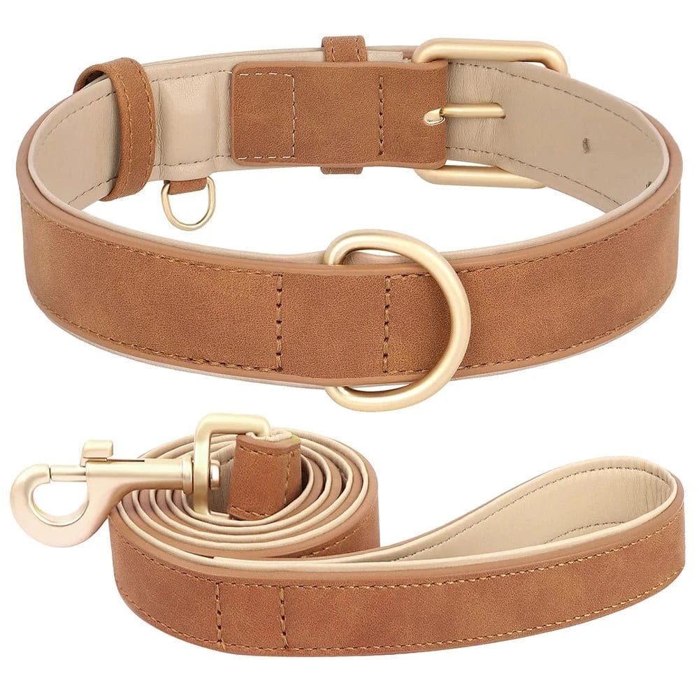 Kit collier + laisse en peau de cuir 1,2 mètre - Kit marron - S