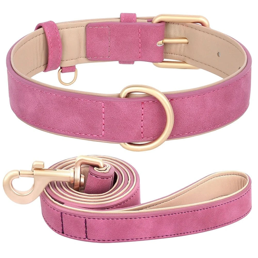 Kit collier + laisse en peau de cuir 1,2 mètre - Kit rose - S