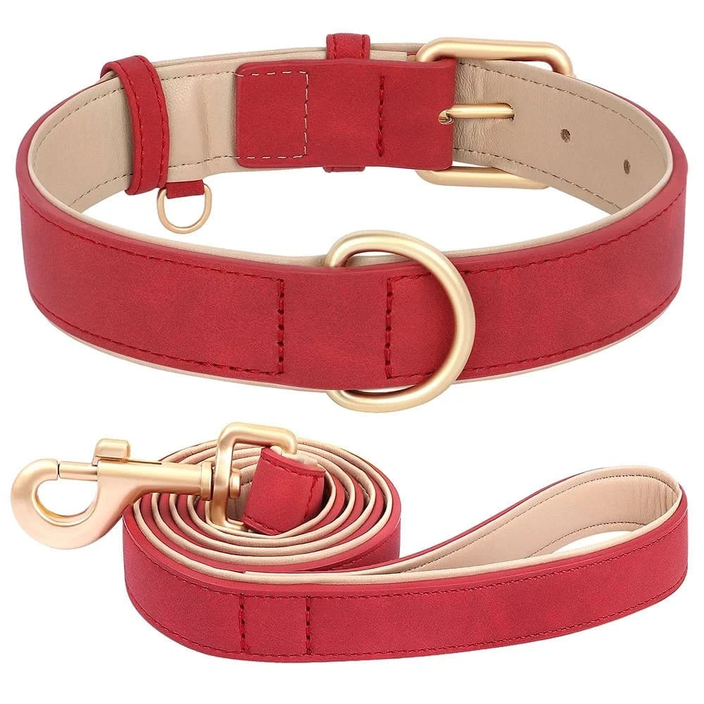 Kit collier + laisse en peau de cuir 1,2 mètre - Kit rouge - S