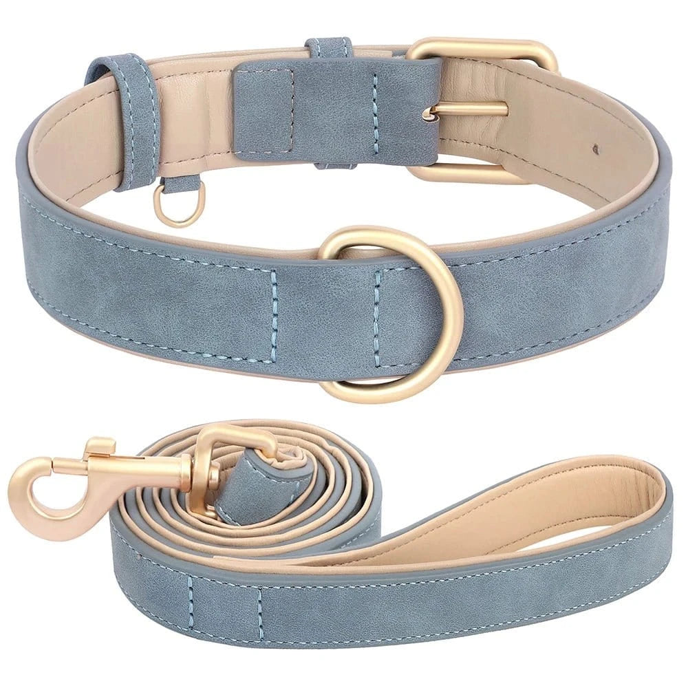 Kit collier + laisse en peau de cuir 1,2 mètre - Kit bleu - S