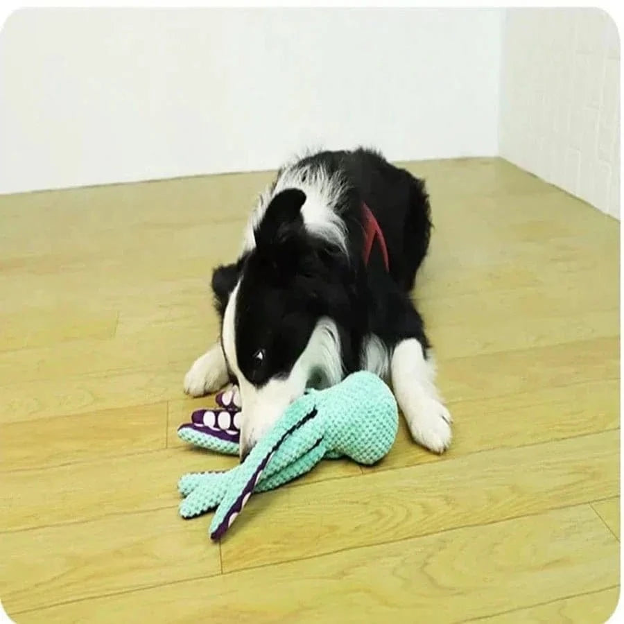 Black and white dog with plush toy, la peluche ultime peluche octopus pour tous