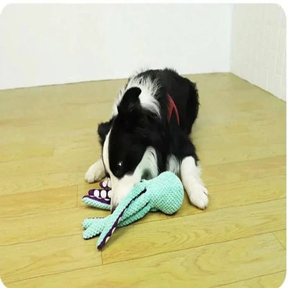 Black and white dog with plush toy, la peluche ultime peluche octopus pour tous