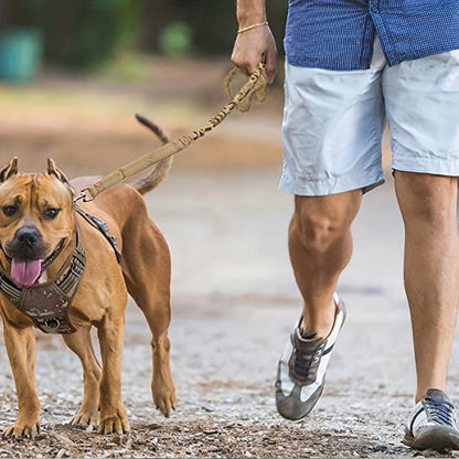 Laisse bungee pour chien avec attache ceinture sécurité et absorption des chocs
