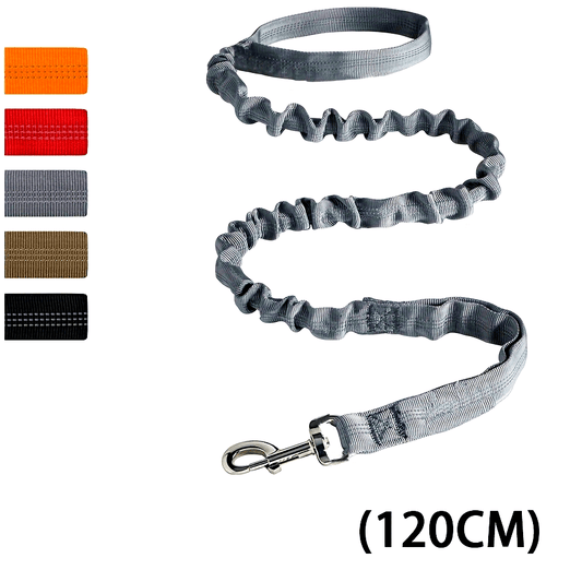 Laisse bungee gris pour chien avec absorption des chocs, idéale pour attache ceinture sécurité