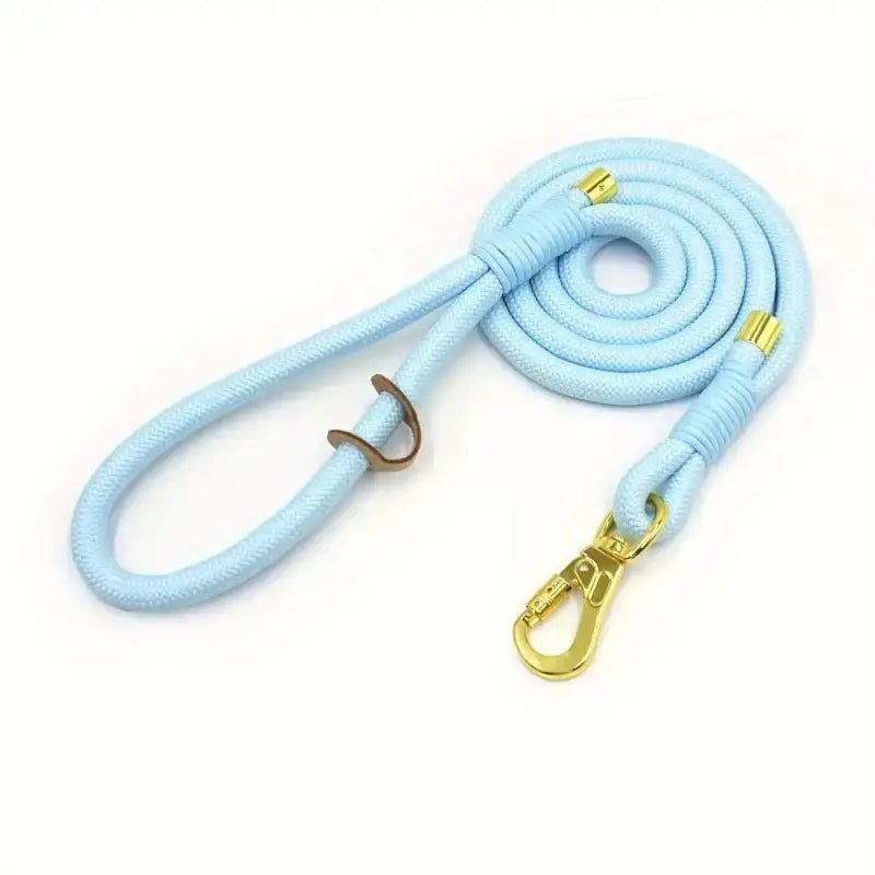 Laisse en corde pour chien bleue avec quincaillerie dorée, idéale pour promenade chien