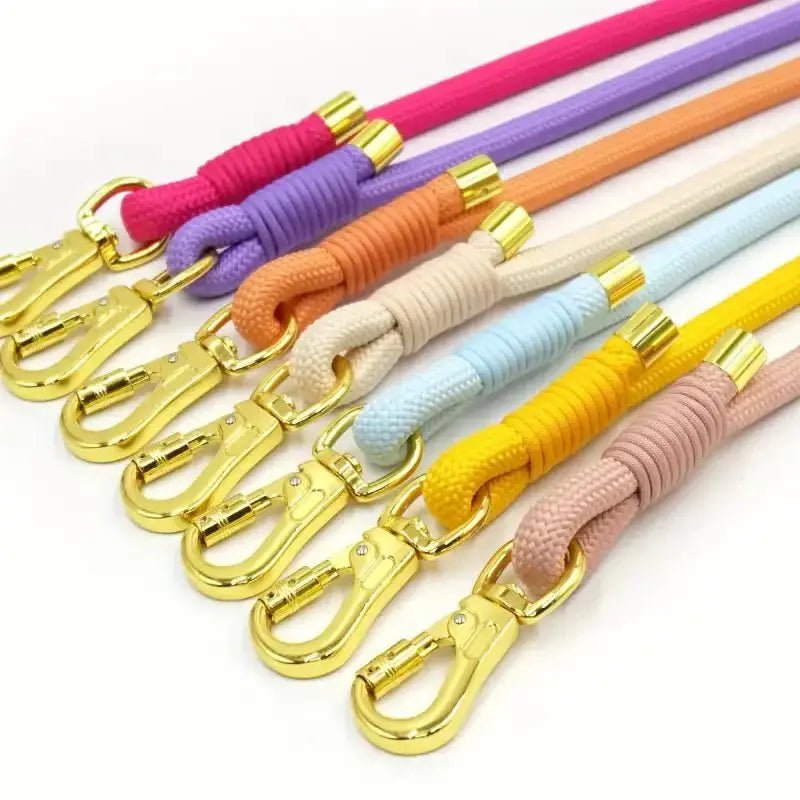 Sangles colorées en corde avec attaches en or, accessoires pour chien pour laisse en corde pour promenade chien