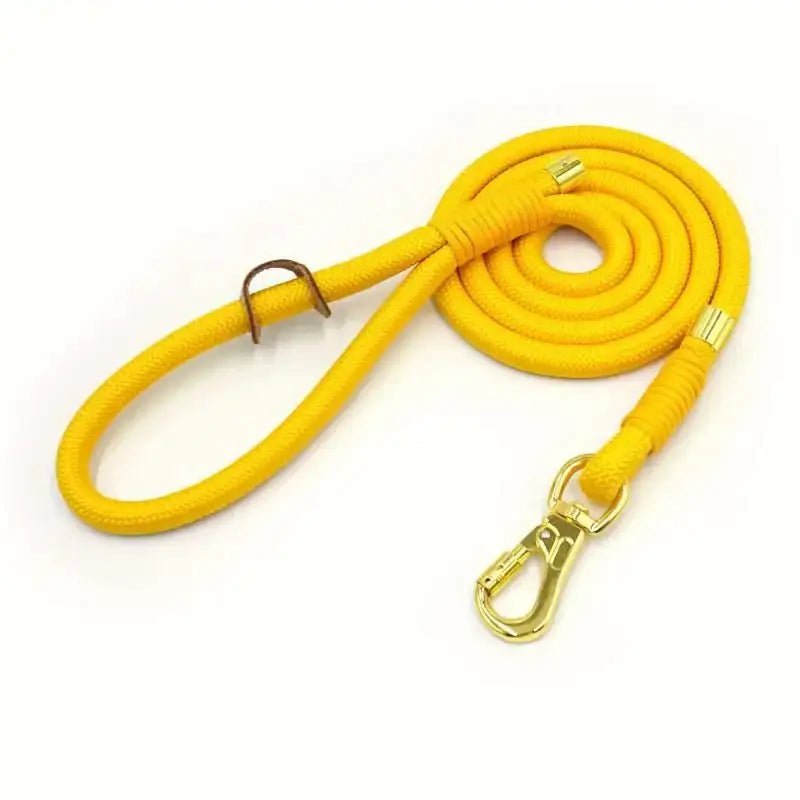 Laisse en corde pour chien en jaune avec hardware doré, idéale pour promenade chien
