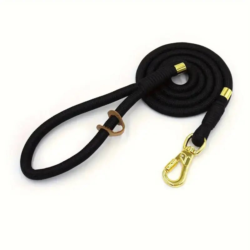 Alt text d’une laisse en corde pour chien avec quincaillerie dorée idéale pour promenade
