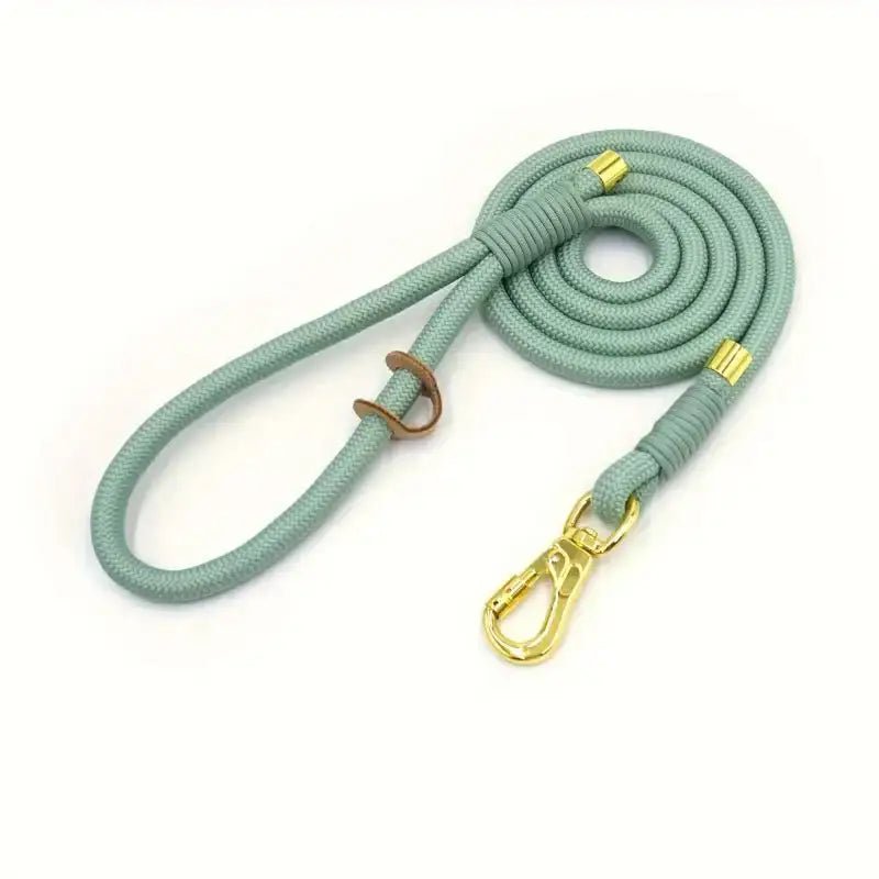 Laisse en corde pour chien bleue et or avec accessoires pour chien, 150cm pour promenade