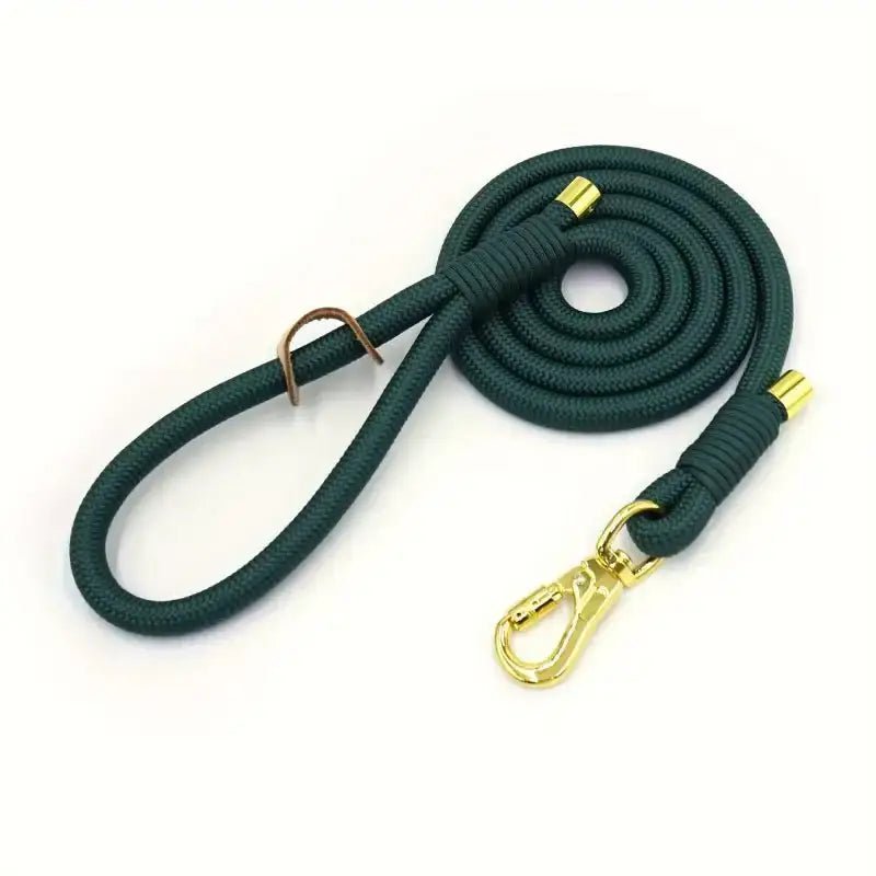 Laisse en corde pour chien avec hardware doré, idéale pour promenade et accessoires pour chien