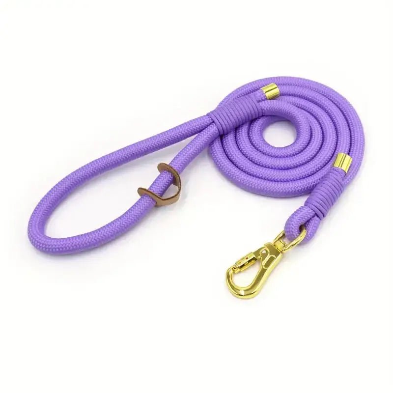 Laisse en corde pour chien avec matériel doré, idéale pour promenade et accessoires pour chien