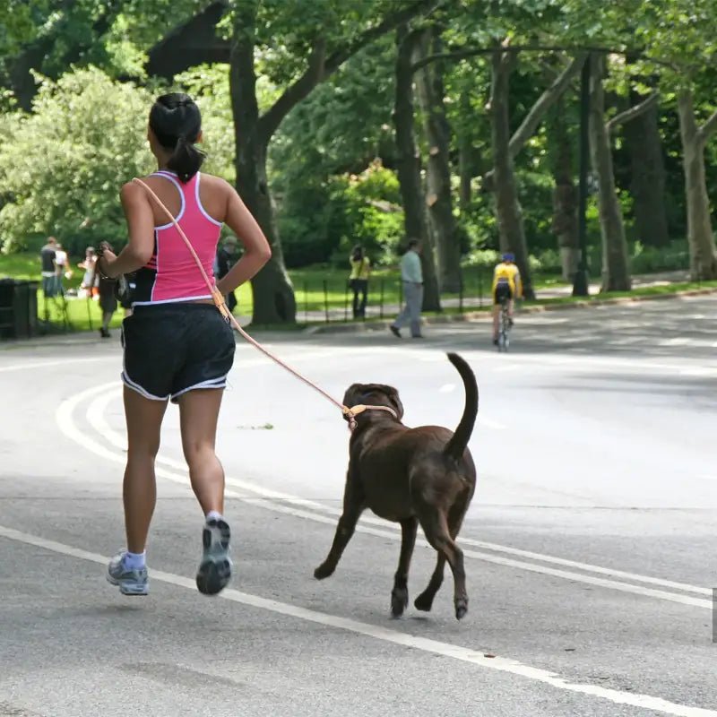 Laisse pour chien Wolfone mode mains libres, femme courant avec son chien en pleine nature