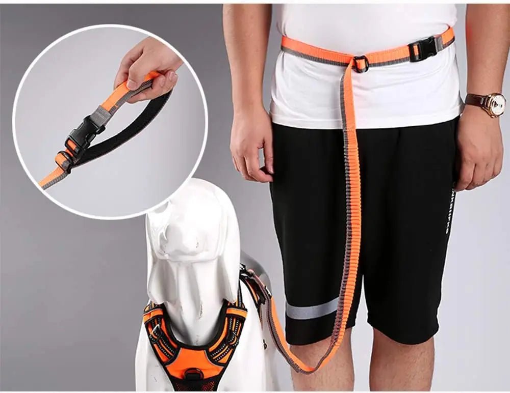 Laisse pour chien TrueLove mains libres avec amorti antichoc et ceinture
