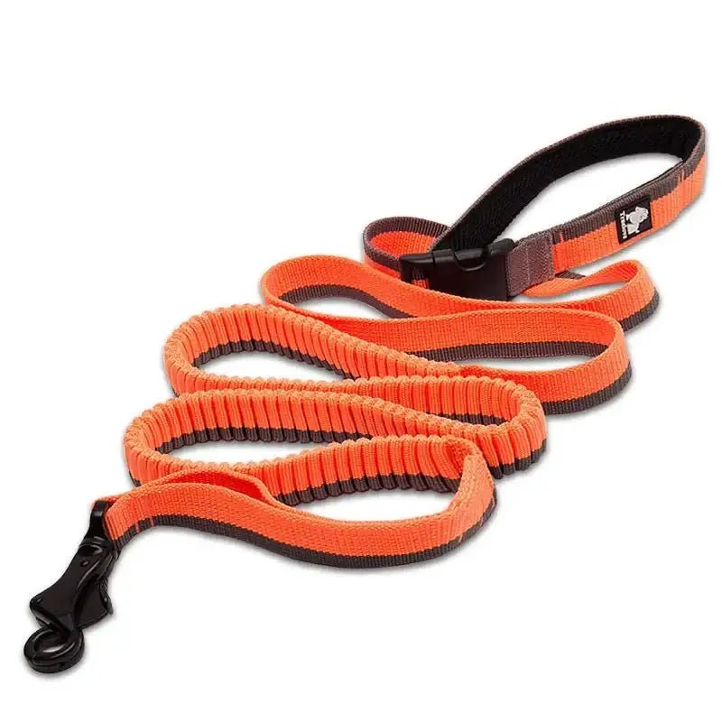 Laisse pour chien Truelove mains libres avec amorti antichoc et poignée noire