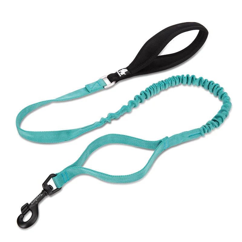 Laisse pour chien turquoise, anti-choc, élastique avec poignée noire, confort et sécurité