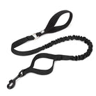 Laisse pour chien Truelove avec section anti-choc et élastique pour confort sécurisé