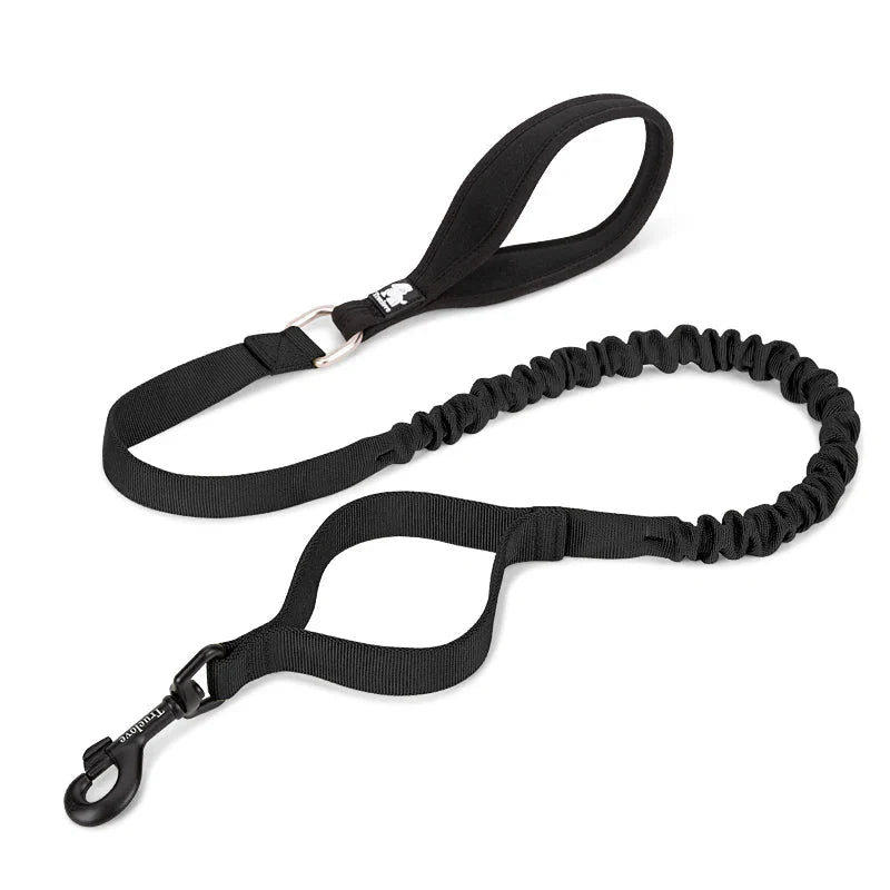Laisse pour chien Truelove avec section anti-choc et élastique pour confort sécurisé