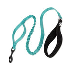 Laisse pour chien turquoise anti-choc avec section élastique et poignée rembourrée