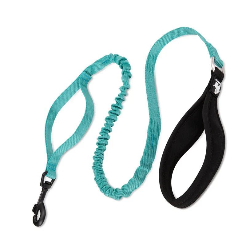 Laisse pour chien turquoise anti-choc avec section élastique et poignée rembourrée