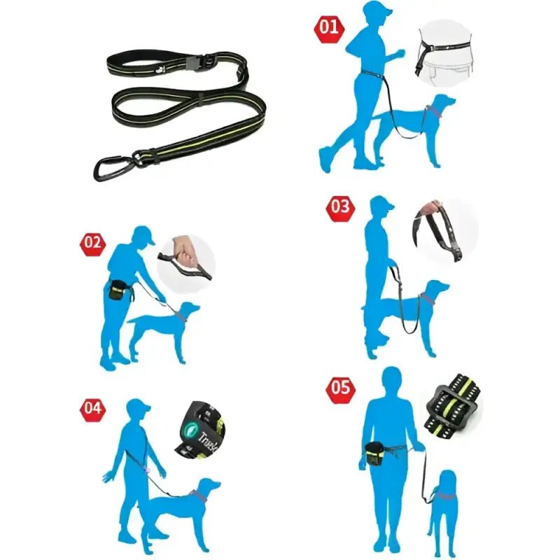 Laisse pour chien TrueLove multi-fonction mains libres avec poignée confort et système polyvalent