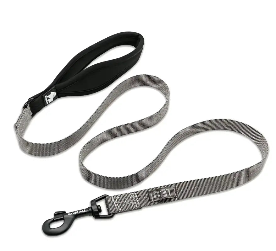 Laisse pour chien Truelove avec poignée rembourrée et fixation LED, gris et noir