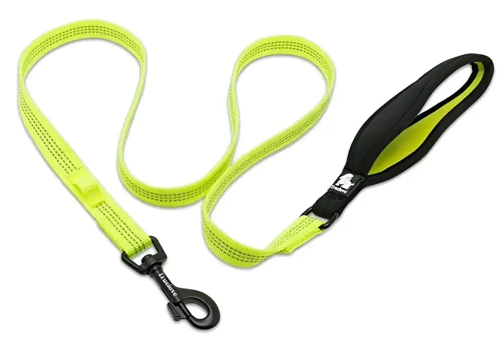 Laisse pour chien Truelove avec poignée rembourrée et fixation LED, jaune néon