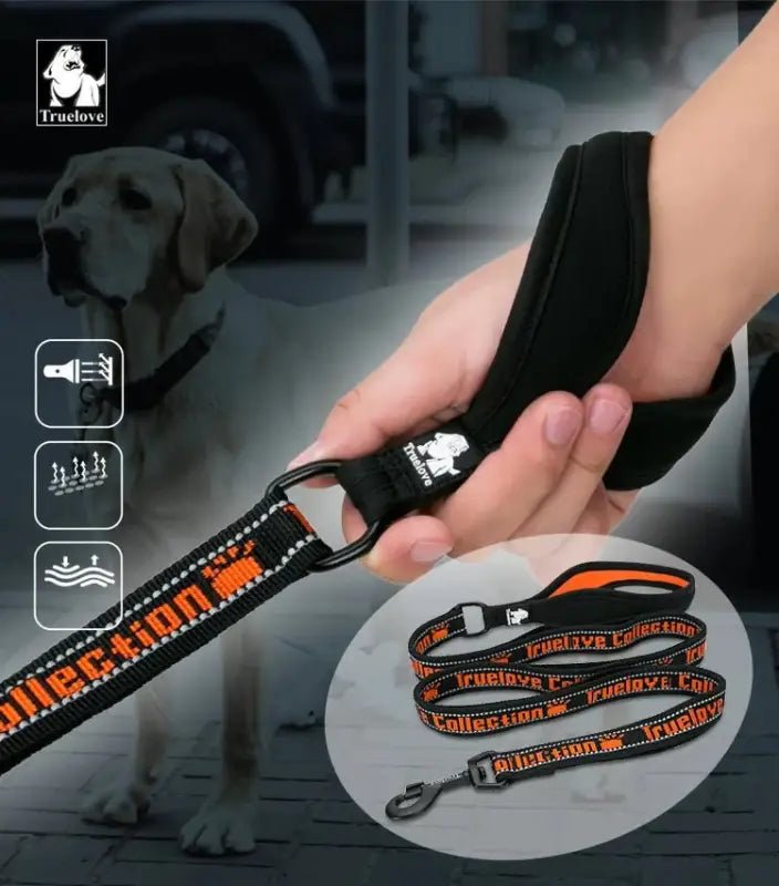 Laisse pour chien Truelove avec poignées multiples, coutures réfléchissantes et design noir et orange