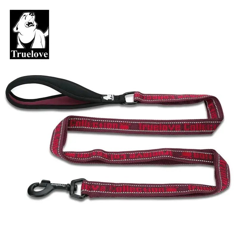 Laisse pour chien Truelove réfléchissante avec poignée rembourrée et attaches en métal