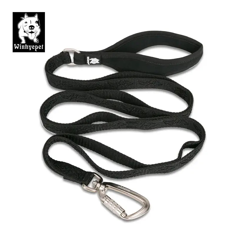 Laisse pour chien Truelove résistante avec poignée confort, compatible avec chien truelove yl1831