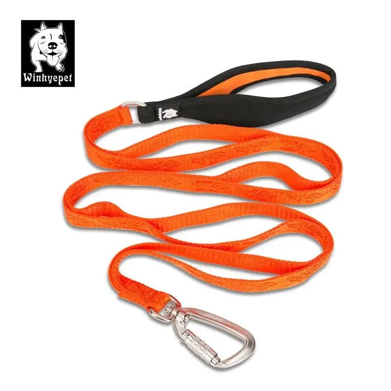 Laisse pour chien TrueLove résistante avec poignée confort, couleur orange, chien truelove yl1831