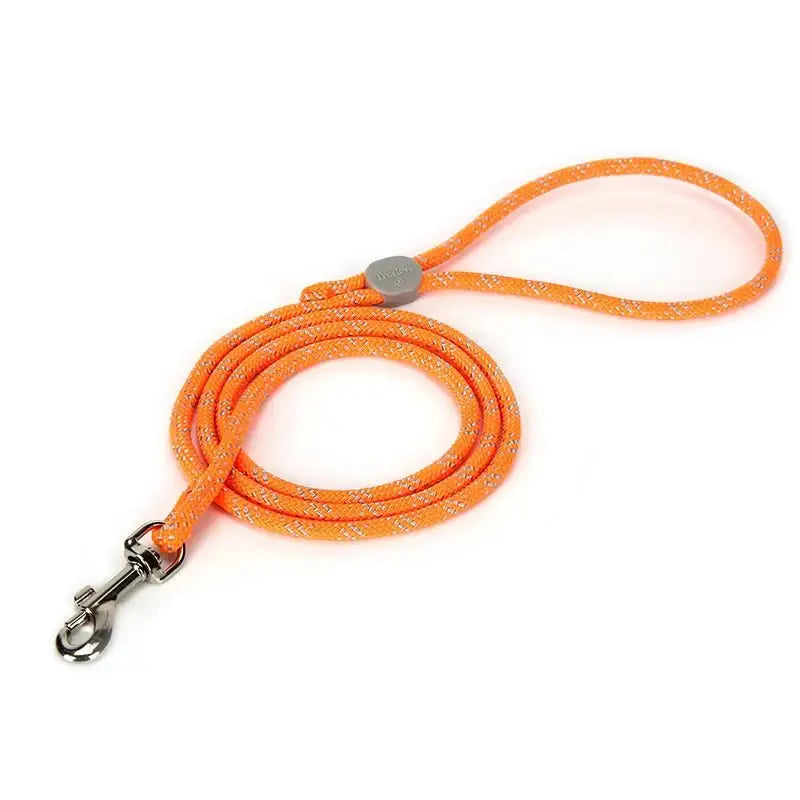 Laisse pour chien Truelove sécurité et style jaune avec clip métallique, accessoire pour chien