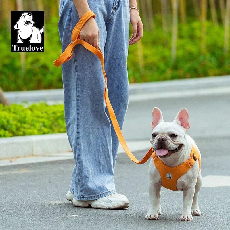 Photo d un bouledogue blanc avec laisse pour chien Truelove libération rapide