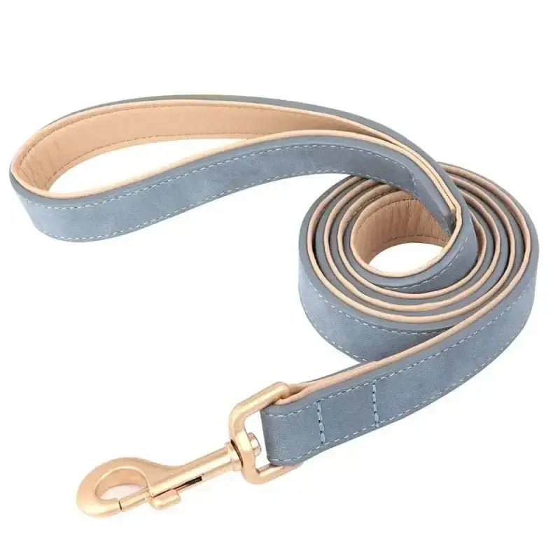 Laisse en cuir pour chien avec finition dorée, 120 cm, poignée confortable et robuste