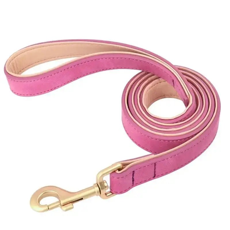 Laisse en cuir pour chien avec finition dorée, élégante pour promenade urbaine