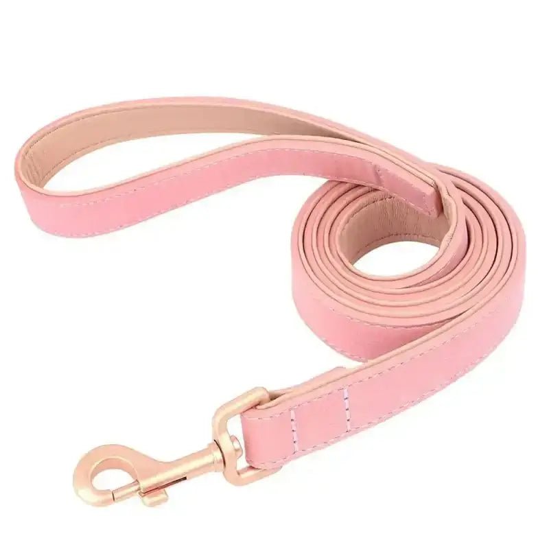 Laisse en cuir pour chien avec finition dorée, élégante pour promenade urbaine, 120 cm